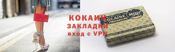 крисы Алзамай